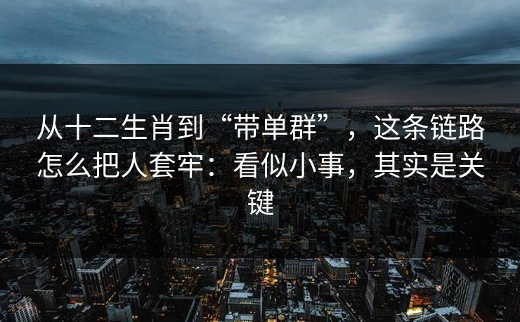 从十二生肖到“带单群”，这条链路怎么把人套牢：看似小事，其实是关键